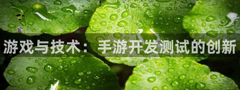 28大神官方下载苹果：游戏与技术：手游开发测试的创新
