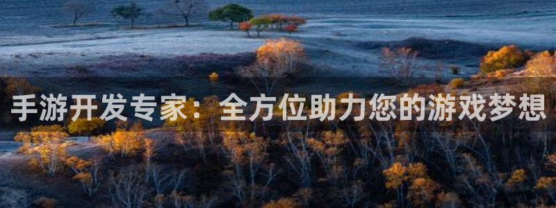 28大神苹果版下载：手游开发专家：全方位助力您的游戏梦想
