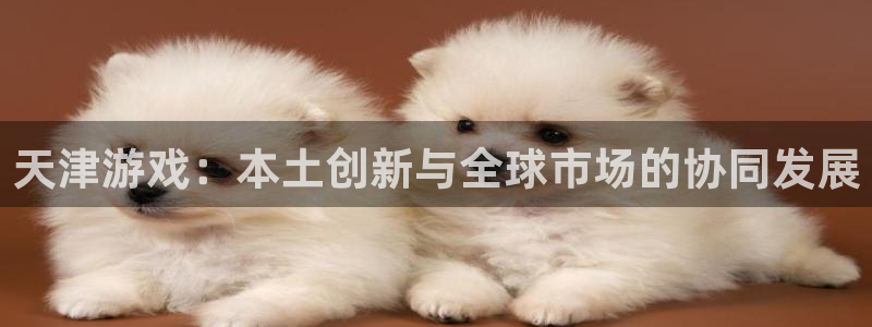 28大神官方网站手机版：天津游戏：本土创新与全球市场的协同发