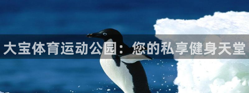 oety欧亿：大宝体育运动公园：您的私享健身天堂