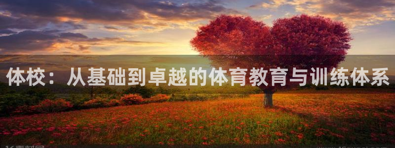 oety欧亿：体校：从基础到卓越的体育教育与训练体系