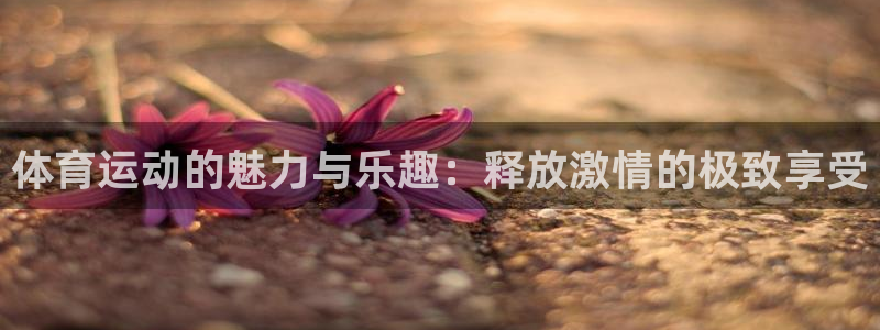oety欧亿：体育运动的魅力与乐趣：释放激情的极致享受