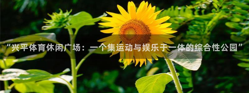 oety欧亿：“兴平体育休闲广场：一个集运动与娱乐于一体的综合性公园”