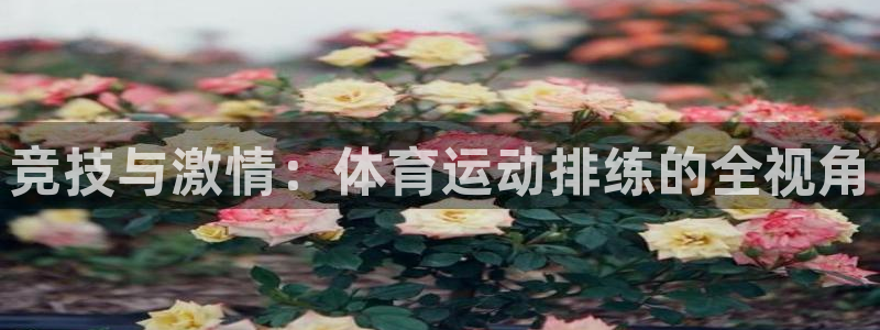 oety欧亿：竞技与激情：体育运动排练的全视角
