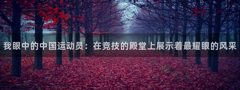 oety欧亿：我眼中的中国运动员：在竞技的殿堂上展示着最耀眼的风采