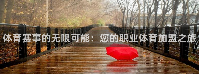 oety欧亿：体育赛事的无限可能：您的职业体育加盟之旅