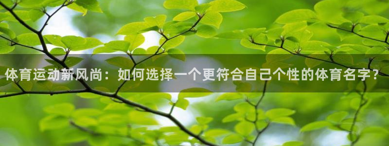 oety欧亿：体育运动新风尚：如何选择一个更符合自己个性的体育名字？
